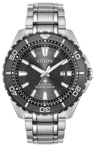 PROMASTER DIVER BN0198-56H