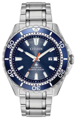 PROMASTER DIVER BN0191-55L