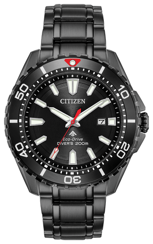 PROMASTER DIVER BN0195-54E